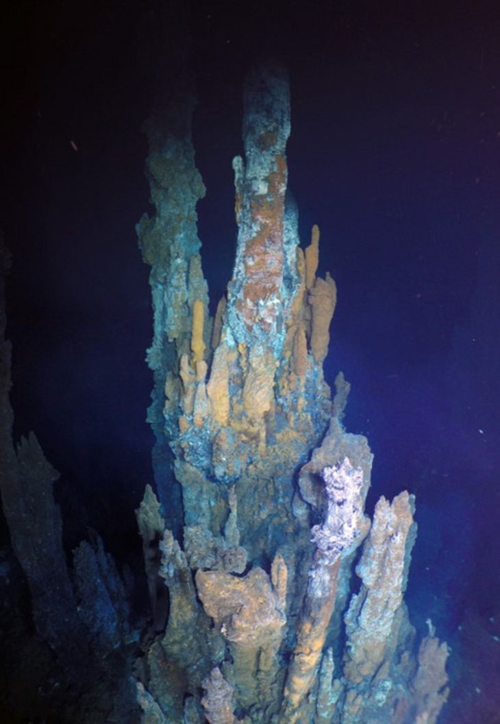 Et af de hydrotermiske væld fotograferet med et undervandskamera. (Foto: Woods Hole Oceanographic Institution, National Deep Submergence Facility, remotely operated vehicle Jason team, National Science Foundation)