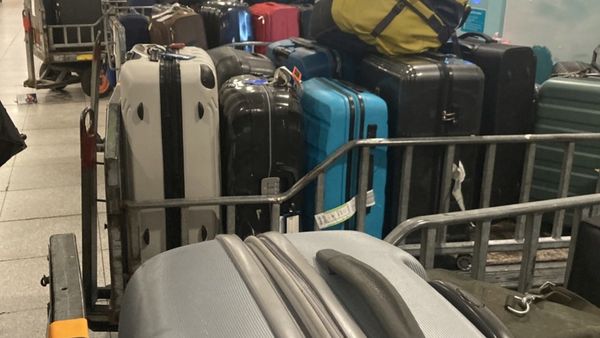 utålmodig Afslut Normalt Bagagekaos i Københavns Lufthavn: Her er forklaringen – Ekstra Bladet