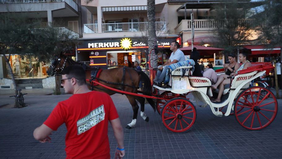 Flere lokale aktivister og politikere ønsker forbud mod hestevognskørsel på Mallorca efter flere episoder med heste, der falder om i varmen. Foto: Sean Gallup/Getty Images/Arkivfoto