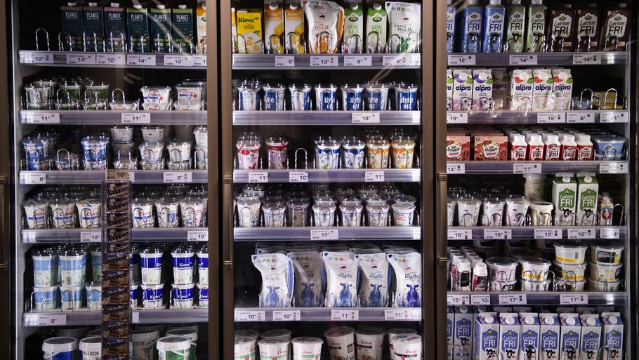 Regeringen er tavse og bør skride til handling med det samme for at komme de høje priser i supermarkederne til livs, mener erhvervsordførere. Foto: Annika Byrde