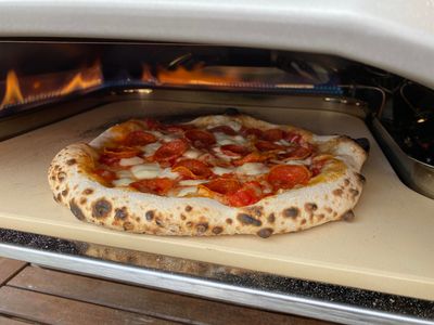 Grøn baggrund genopretning Fysik Hjemmelavet pizza på 60 sekunder – Ekstra Bladet