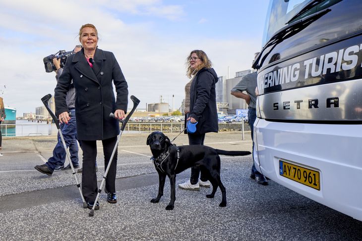 I valgkampen blev Inger Støjberg underløbet af sin hund, Ludvig. Det førte til en knæskade, som sendte partilederen en tur på krykker. Her ses de i Aarhus i oktober. Foto: Claus Bonnerup