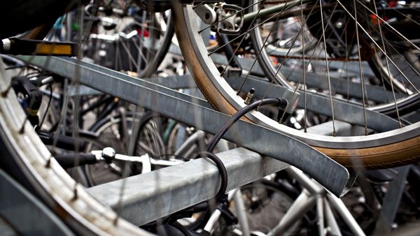 Søgemaskine markedsføring Irreplaceable Fru Kæmpefangst: Cykeltyv overrasket – Ekstra Bladet