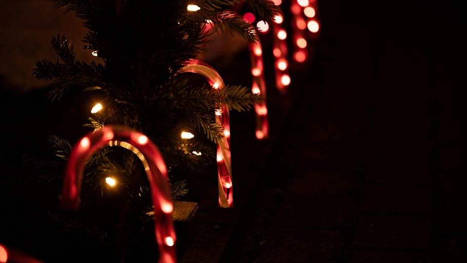 Har du et juletræ i stuen med elektriske lys, så kan du spare strøm ved at sætte en timer på – eller ved kun at tænde lysene, når du har mulighed for at se på det. Foto: Lisbeth Holten/ Videncentret Bolius