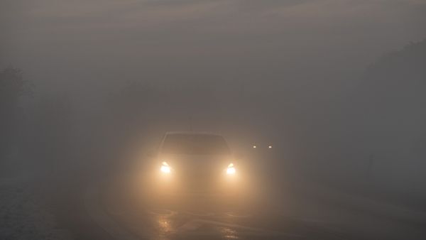 Ledningsevne En sætning fløde Tæt tåge rammer hele landet: - Pas på i trafikken – Ekstra Bladet