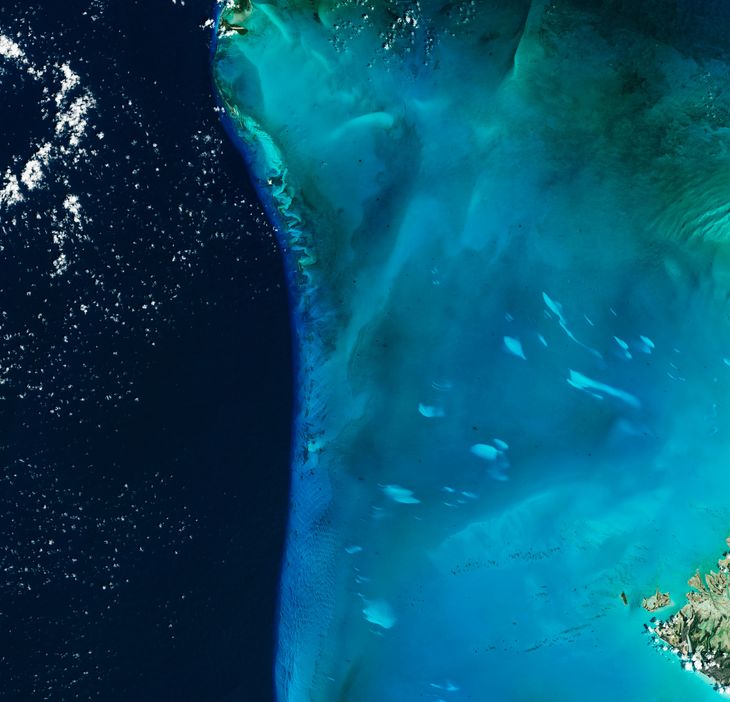 Satellitbillede zoomet ud, hvor plamagernes størrelse bedre kan ses. (Foto: NASA Earth Observatory/US Geological Survey)
