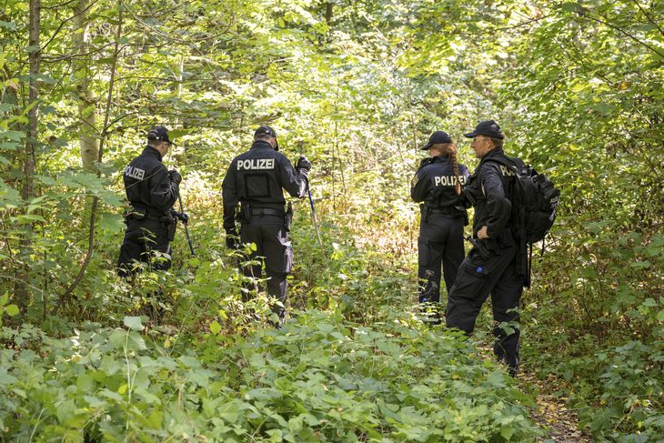 Selvom politiet har afsøgt det skovområde, hvor man mener, at kvinden er blevet dræbt, er det ikke lykkedes at finde et gerningsvåben. Foto: Peter Kneffel/Ritzau Scanpix