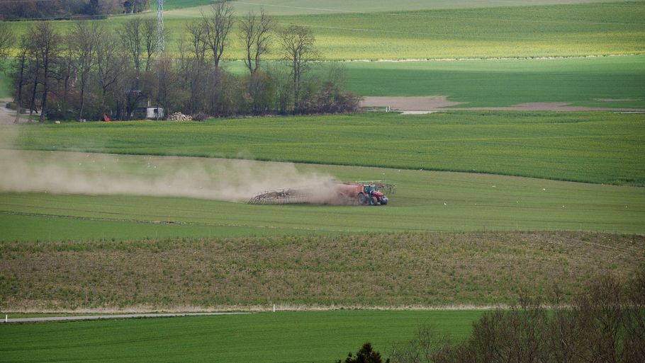 Det er lovligt for landmænd at bruge PFAS-pesticider på deres marker. Flere eksperter er dog bekymrede over brugen, fordi de frygter konsekvenserne. Det skriver Ingeniøren. (Arkivfoto). Foto: Bo Amstrup / Ritzau Scanpix/Ritzau Scanpix