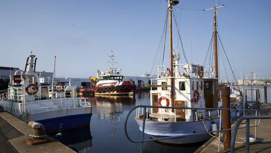 Danske fiskere blev hårdt ramt af brexit, fordi mange mistede fiskekvoter og dermed led store økonomiske tab. Nu er der kompensation på vej til fiskerne. (Arkivfoto). Foto: Signe Goldmann/Ritzau Scanpix