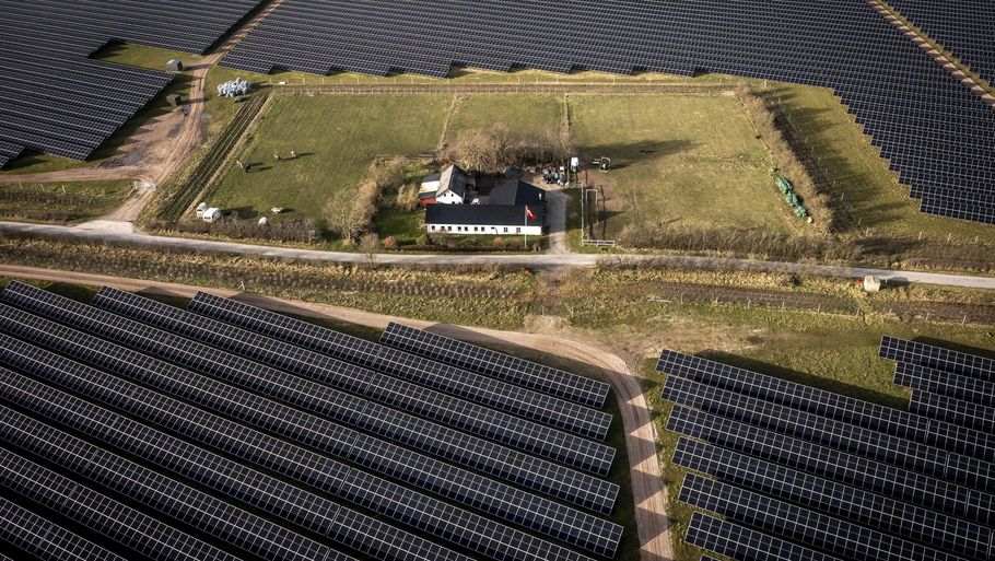 Vest for Aabenraa er European Energy i gang med en gigantisk solcellepark. Foto: Mads Claus Rasmussen/Ritzau Scanpix
