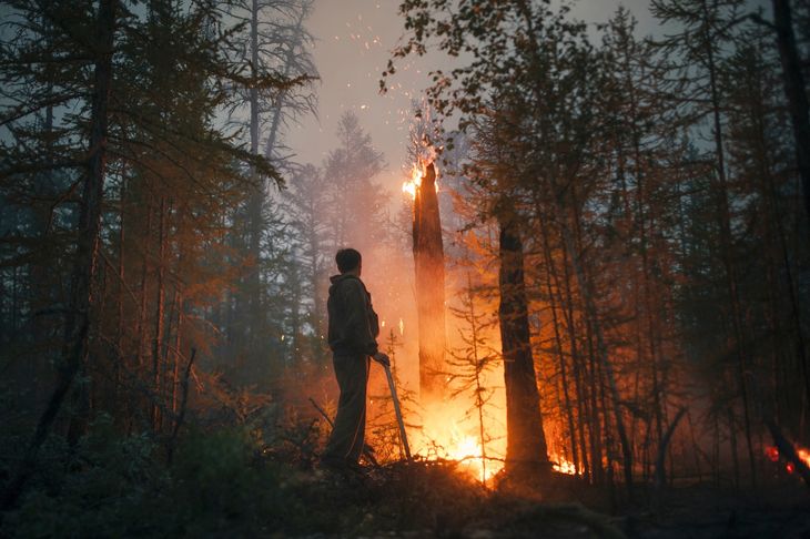 I fremtiden vil brande som denne i en russisk skov formentlig blive endnu mere udbredt. Foto: Ivan Nikiforov/Ritzau Scanpix