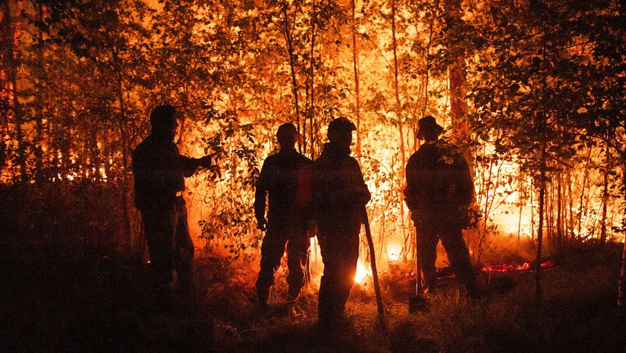 Et nyt studie advarer om, at skovbrande i de nordlige dele af verden kan have en særdeles negativ effekt på klimaet. Foto: Ivan Nikiforov/Ritzau Scanpix