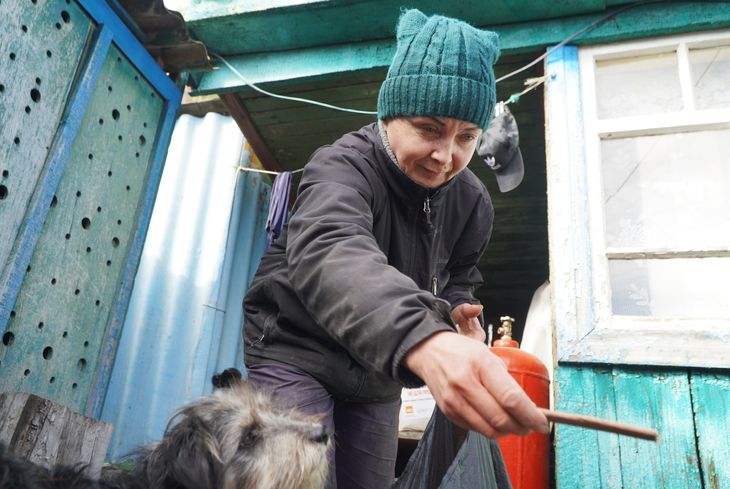 Iryna giver nogle af hundene snacks. Foto: Stefan Weichert