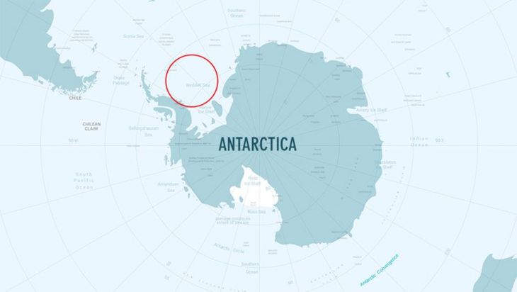 Weddelhavet er en stor bugt i Sydishavet, og på grund af voldsomme is- og vejrforhold er det et af verdens mindst udforskede områder. (Foto: Oceanwide Expeditions)
