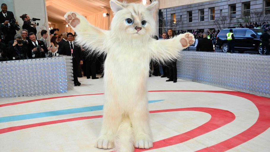 Jared Leto ankom til Met Gala iført et enormt kattekostume som en hyldest til Karl Lagerfelds kat, Choupette. Foto: Angela Weiss/Ritzau Scanpix