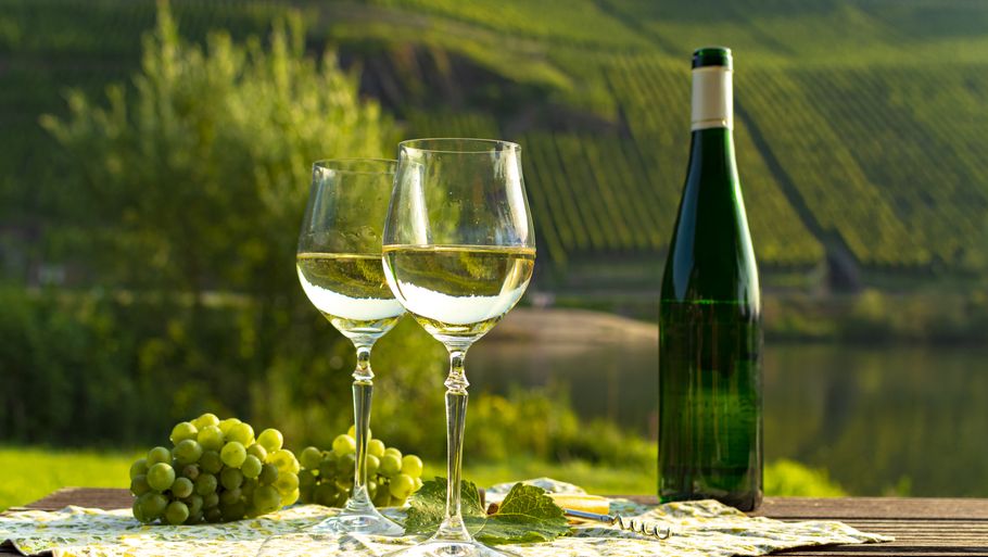 Også Tyskland er kendt for fine og gode riesling-vine. Foto: Getty Images