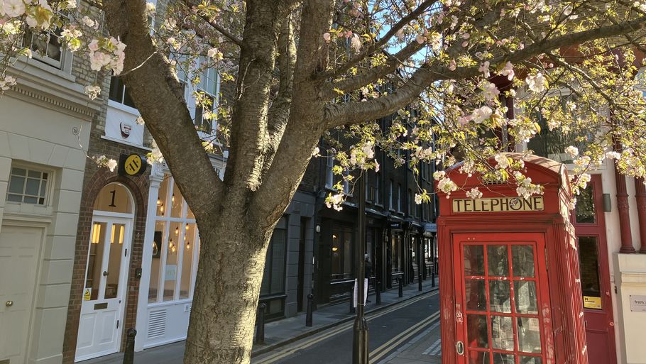 Londons berømte røde telefonbokse er en uddøende race, men som så mange andre af byens hemmeligheder kan de findes, hvis man ved, hvor man skal lede. Foto. Søren Sorgenfri