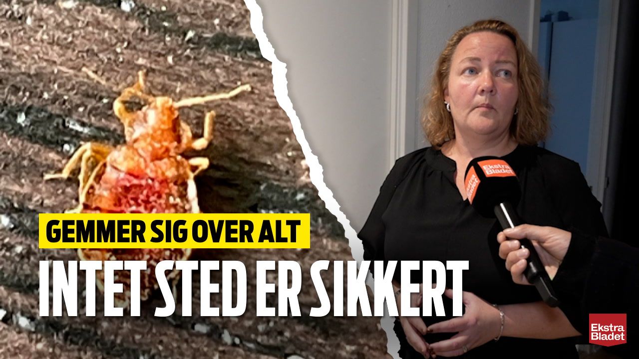 De Gemmer Sig Over Alt: Intet Sted Er Sikkert – Ekstra Bladet