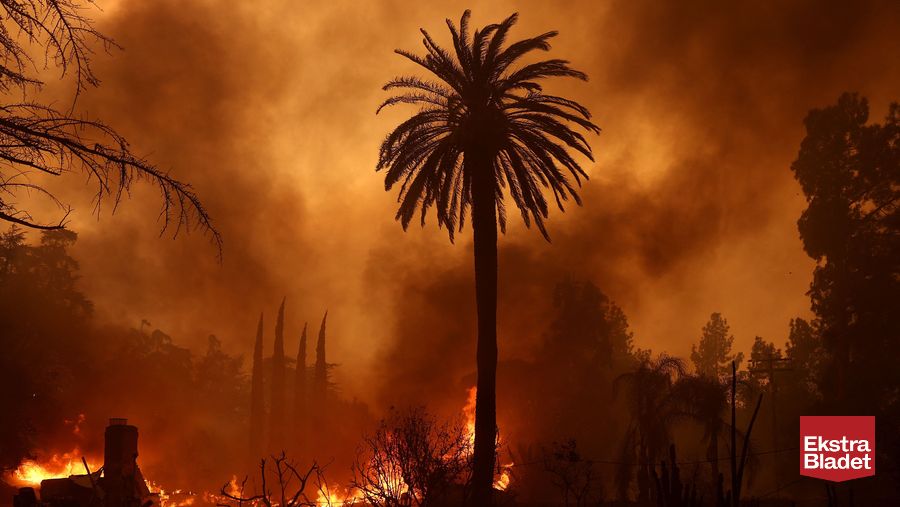 Naturbrande i Los Angeles: Fem mennesker omkommet i voldsomme flammer