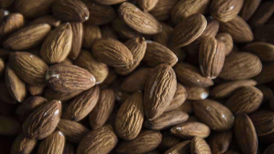 استدعاء اللوز بسبب خطر وجود ديدان