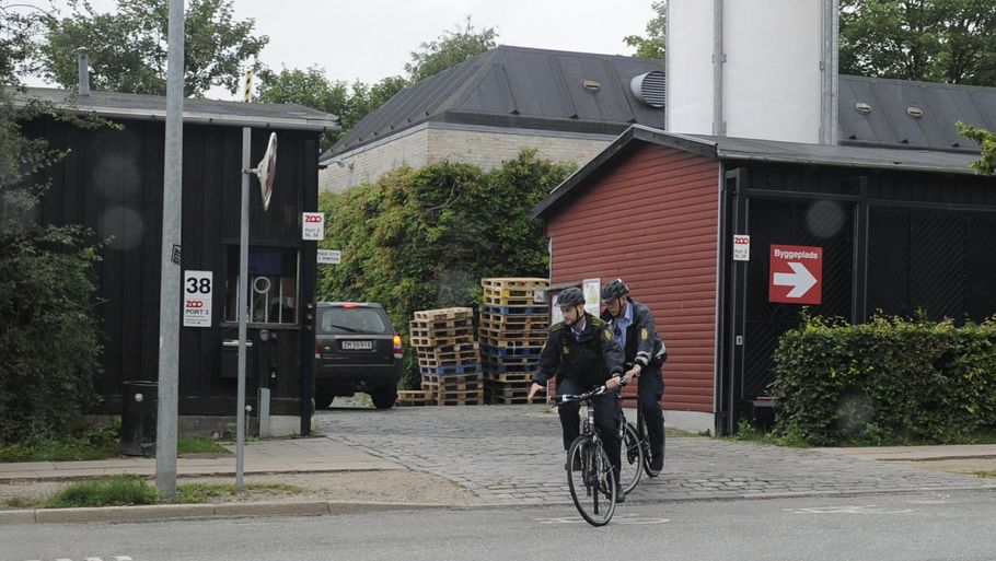 Ung mand dræbt af tigrene i ZOO – Ekstra Bladet