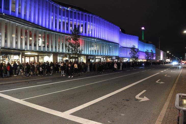 Københavns længste køer før Citybois – Ekstra Bladet