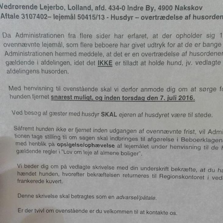 Må ikke ha' hund i lejligheden: Men Blacky har aldrig bidt nogen ...