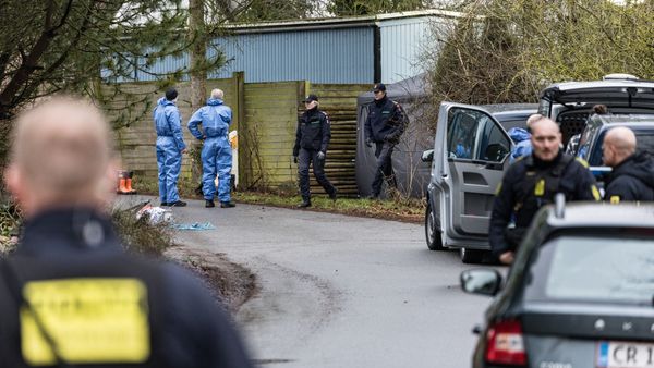 Billedet i artiklen