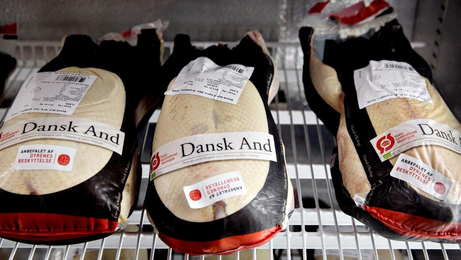 Solgte fordærvede ænder til tusindvis af danskere: Nu er firmaet gået ...